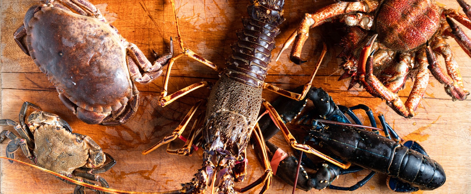 producto fresco de temporada en RíasKru Barcelona